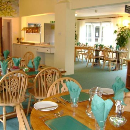 Tekels Park Guest House 캠벌리 외부 사진